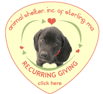 Why Adopt From Us? - Animal Shelter, Inc. of Sterling
