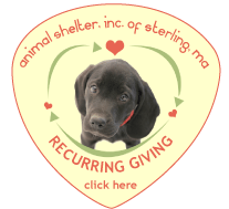 About Us - Animal Shelter, Inc. of Sterling About Us - Animal Shelter, Inc. of Sterling