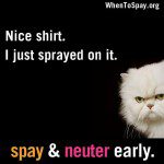 SPAY AND NEUTER