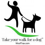 walk your dog and support our shelter