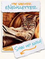 Newsletter Sign Up Animal Shelter