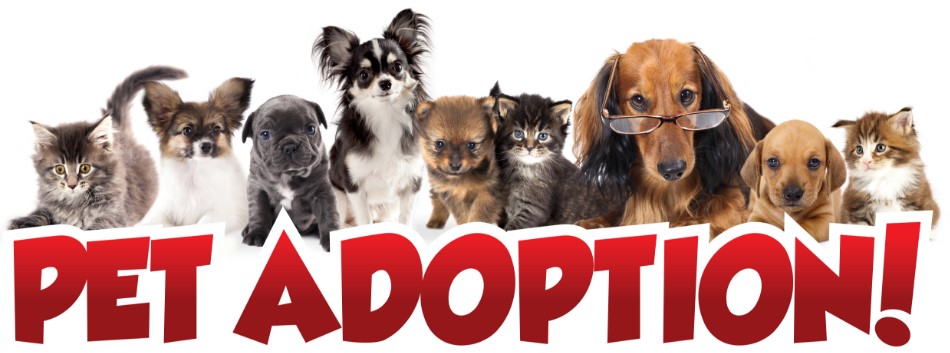 IMPORTANT INFO ABOUT ADOPTION DAYS….