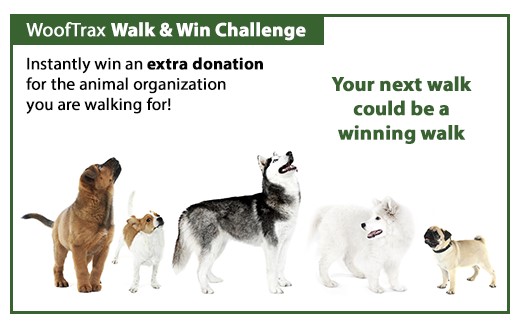 A FREE EASY WAY to help our furry friends & get some exercise!