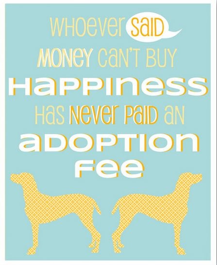Animal Shelter Adoption Fee Happy