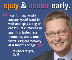 Michael Moyer Spay Neuter