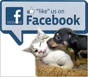 facebook-like-us