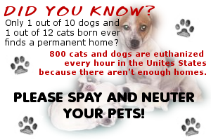 spay-neuter